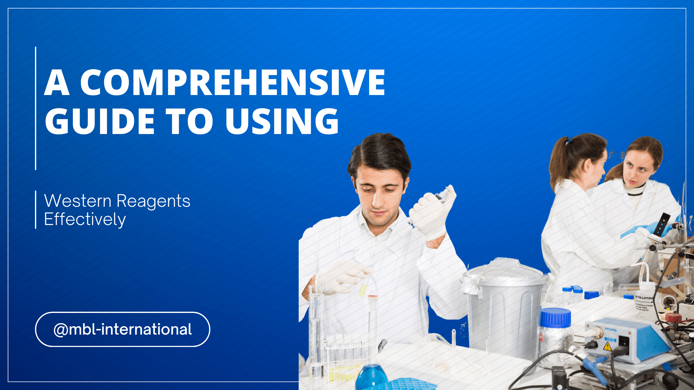 A comprehensive guide to using western reagents effectively